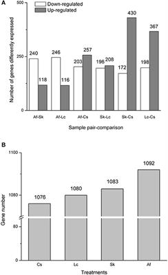 Molecular Ecological Basis of Grasshopper (Oedaleus asiaticus) Phenotypic Plasticity under Environmental Selection